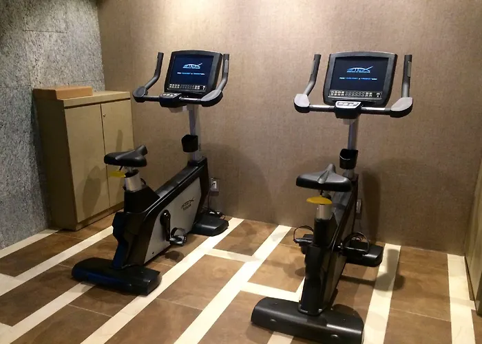 Dormy Gangnam Hotel 3*