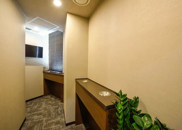 Hotel Dormy Gangnam 3*