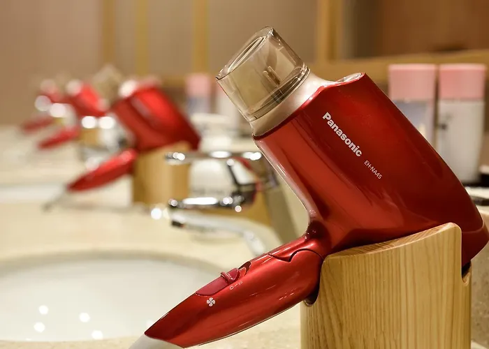 Hotel Dormy Gangnam